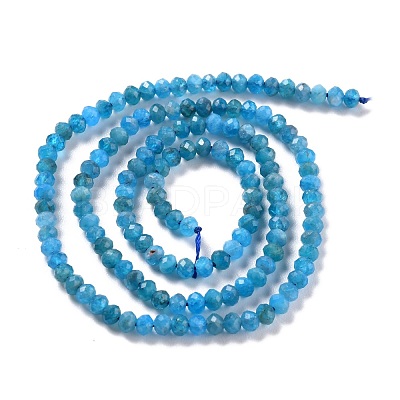 Natural Apatite Beads Strands G-K312-20B-1