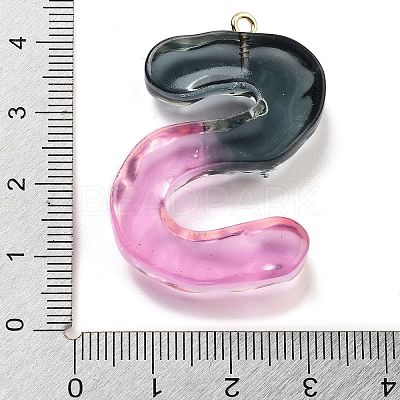 Resin Pendant FIND-Q107-01S-01-1