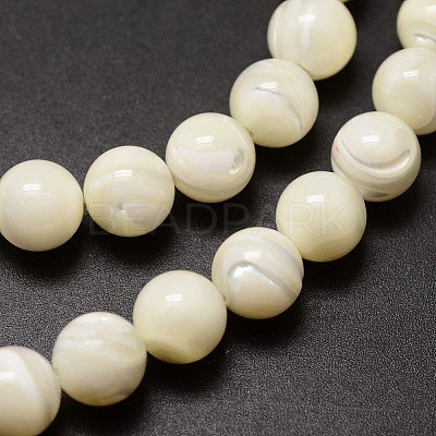Natural Shell Beads Strands X-SSHEL-E571-39-4mm-1