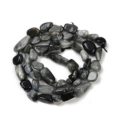 Natural Eagle Eye Stone Beads Strands G-Q060-D06-1