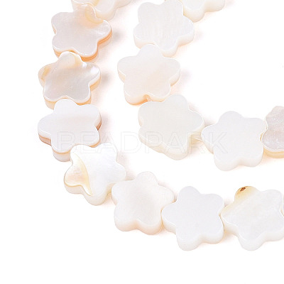 Natural Freshwater Shell Beads Strands SHEL-S276-111A-1