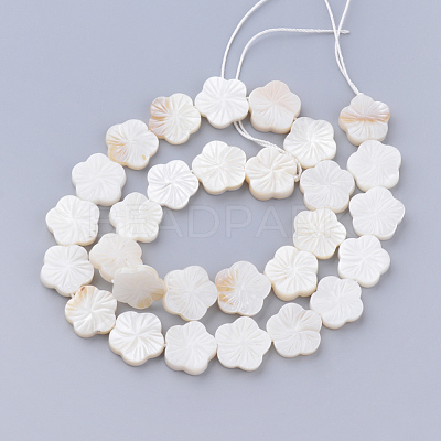 Natural Freshwater Shell Bead Strands X-SHEL-T001-A01-1