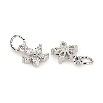 Brass Micro Pave Cubic Zirconia Charms LS-ZIRC-L096-10P-1