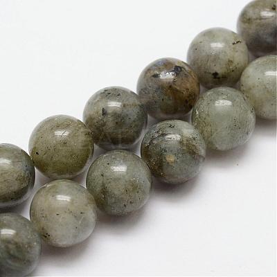 Natural Labradorite Bead Strands G-O155-05A-4mm-1
