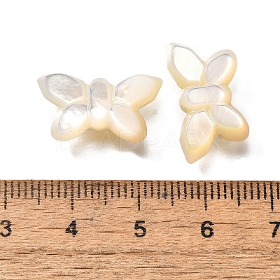 Natural White Shell Beads BSHE-Z008-02-1