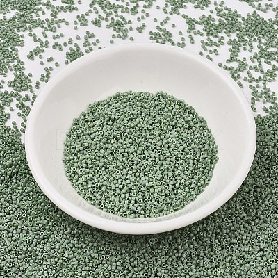 MIYUKI Delica Beads X-SEED-J020-DB2310-1