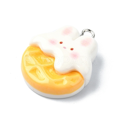 Resin Pendants RESI-I058-04B-1