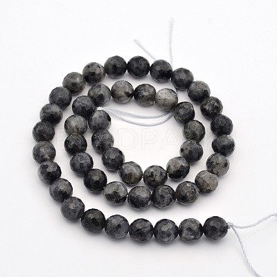 Faceted Round Natural Larvikite Beads Strands G-E302-083-8mm-1
