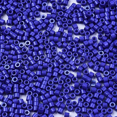 FGB 11/0 Grade A Glass Seed Beads X-SEED-S030-1024-1