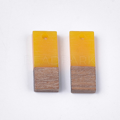 Resin & Walnut Wood Pendants RESI-S358-79K-1