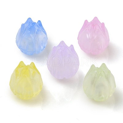 Transparent Acrylic Beads X-OACR-K005-13-1