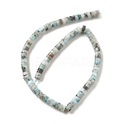 Natural Larimar Beads Strands G-Q024-B03-04-1