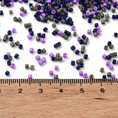 Baking Paint Glass Seed Beads X-SEED-S042-05B-54-1