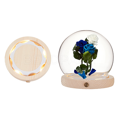 Glass Dome Cover AJEW-WH0752-088C-1