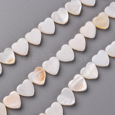 Natural Freshwater Shell Beads Strands SHEL-R144-25-1