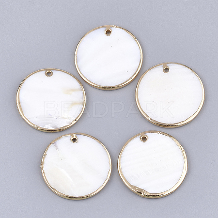 Electroplate Freshwater Shell Pendants SHEL-T012-06-1