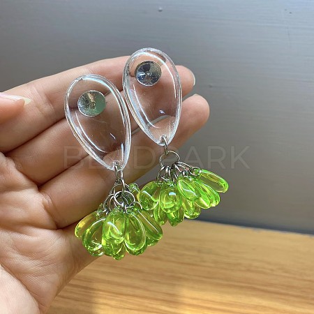 Alloy Resin Stud Dangle Earrings WGC5587-01-1