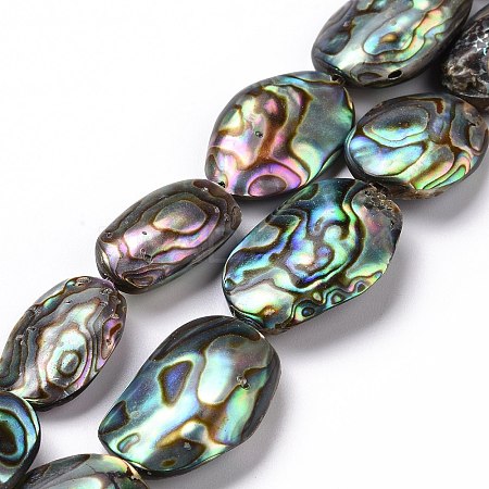 Natural Abalone Shell/Paua Shell Beads SSHEL-E379-1-1