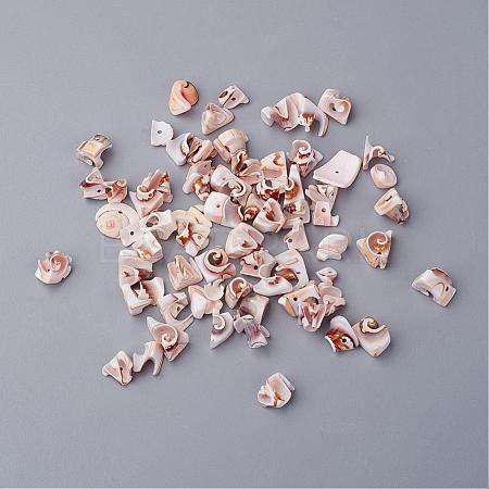 Natural Spiral Shell Beads BSHE-S080-1