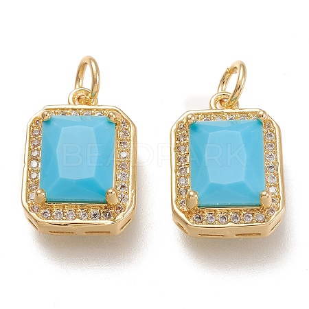 Brass Glass Charms X-ZIRC-F116-09D-G-1