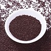 MIYUKI Delica Beads X-SEED-J020-DB1134-2