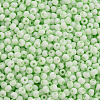 8/0 Opaque Glass Seed Beads X1-SEED-S048-N-009-3