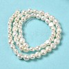 Natural Cultured Freshwater Pearl Beads Strands PEAR-E017-04-3