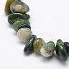 Natural Moss Agate Beads Strands G-F521-10-3