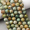 Natural Peruvian Turquoise(Jasper) Beads Strands G-T150-A01-8mm-1