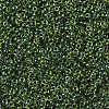 MIYUKI Round Rocailles Beads SEED-G007-RR0350-3