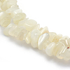 Natural White Moonstone Beads Strands G-P332-01-3