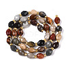 Natural Picture Jasper Beads Strands G-N342-35-8x6-09-3