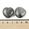 Natural Labradorite Heart Love Stone G-P616-A01-01-3