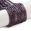 Imitation Austrian Crystal 5301 Bicone Beads GLAA-S026-2mm-03-2