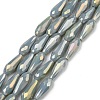 Electroplated Opaque Glass Beads Strands EGLA-L015-FR-B19-01-1