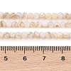 Natural Freshwater Shell Beads Strands X-SHEL-T011-02-3mm-4