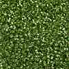 Cylinder Seed Beads SEED-H001-G03-4