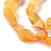 Natural Amber Beads Strands G-P497-01C-04-4