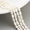 Natural Keshi Pearl Cultured Freshwater Pearl Beads Strands PEAR-P062-33-1