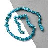 Natural Freshwater Shell Beads Strands BSHE-I016-01A-4