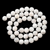 Natural Rainbow Moonstone Beads Strands G-N328-024-8mm-2