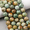 Natural Peruvian Turquoise(Jasper) Beads Strands G-T150-A01-10mm-1
