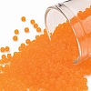 TOHO Round Seed Beads SEED-JPTR11-0010F-1