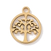 304 Stainless Steel Charms STAS-K286-01D-G-1