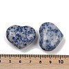 Heart Natural Blue Spot Jasper Palm Stones G-C186-02J-3