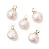Natural Cultured Freshwater Pearl Two Sides Polished Charms PALLOY-JF04867-1