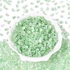 Transparent Spray Painted Glass Seed Beads SEED-L011-10A-15-2