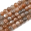 Natural Grey Moonstone Beads Strands G-F632-24-02-01-4