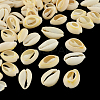 Natural Mixed Cowrie Shell Beads BSHE-S051-01-1