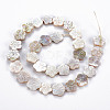 Electroplated Natural Freshwater Shell Beads Strands X-SHEL-N026-164-2